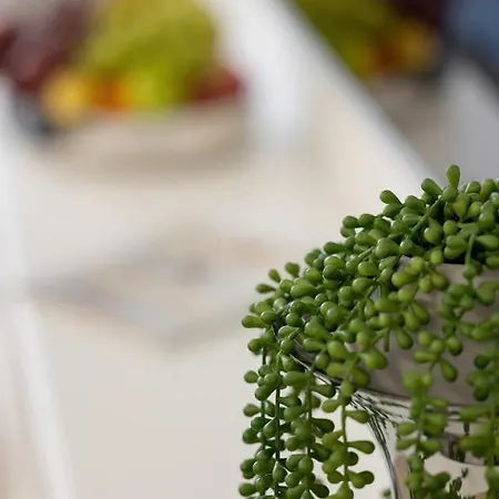 Baltini Premium Polanki Park Kołobrzeg