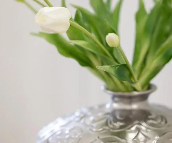 Baltini Premium Polanki Park Apartment *